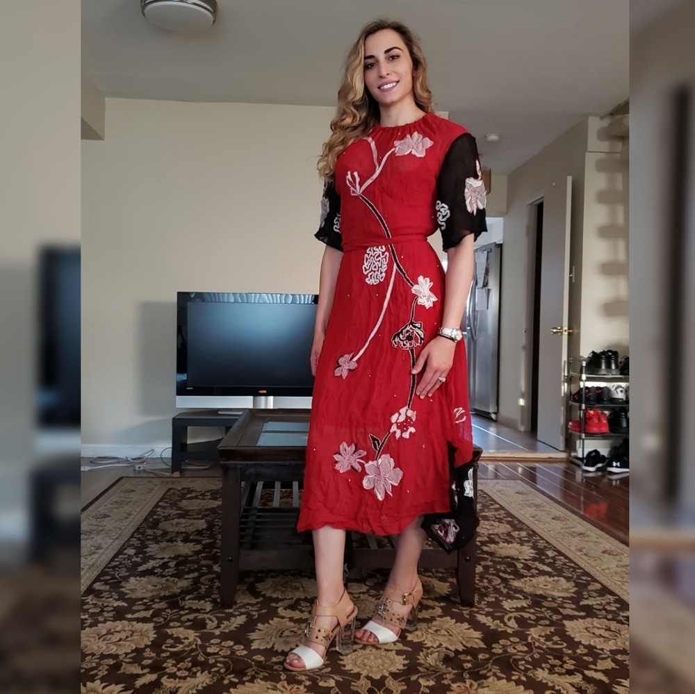 Embroidered Zara midi dress